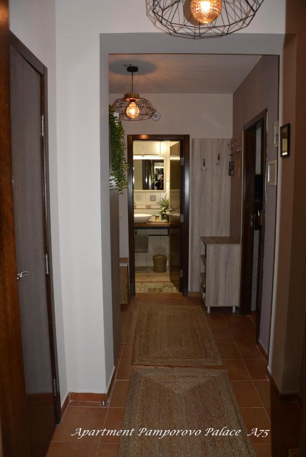 Apartment Pamporovo Palaсe A75 エクステリア 写真