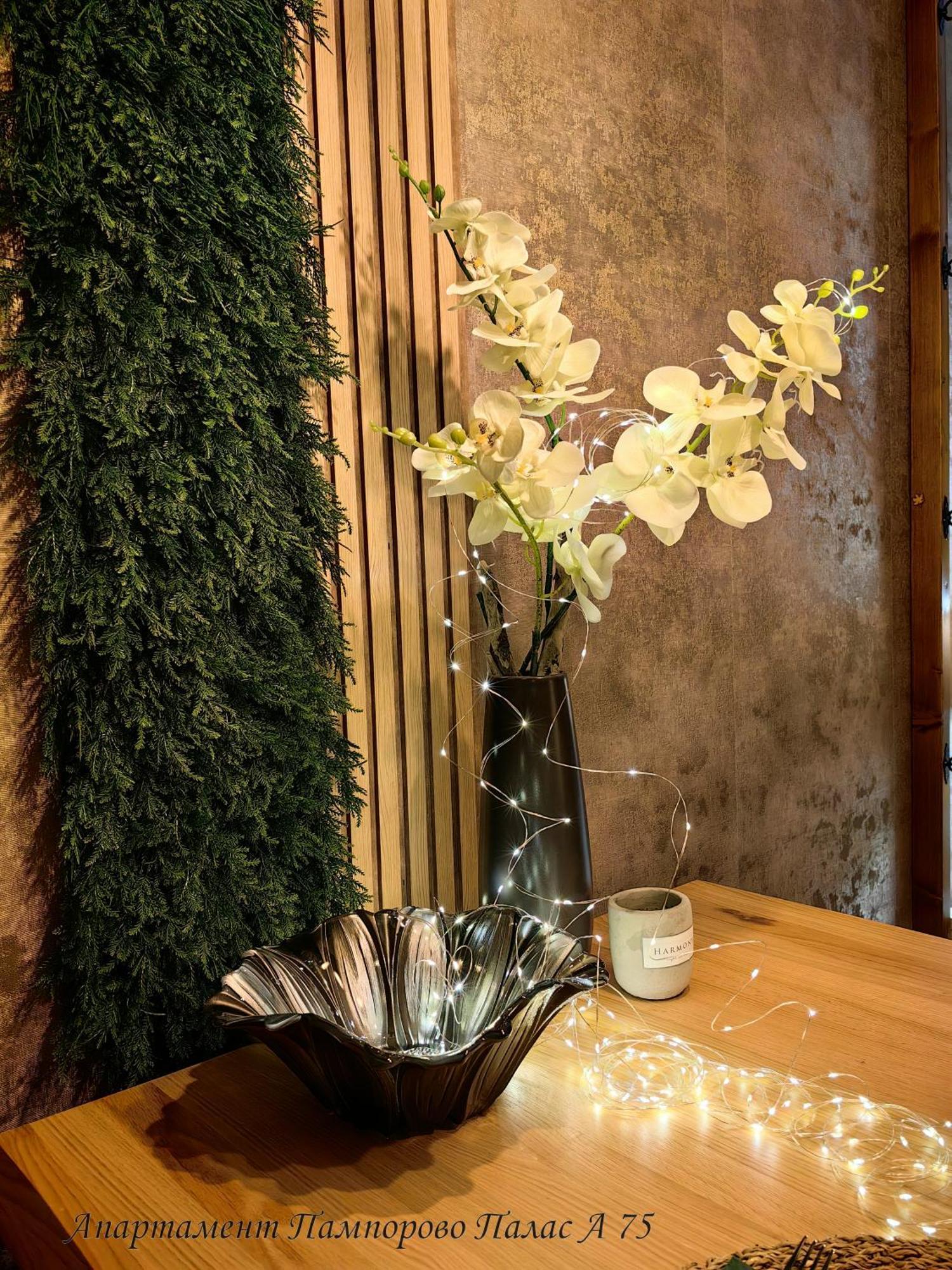 Apartment Pamporovo Palaсe A75 エクステリア 写真